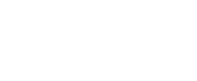 Skyline Construction & Homes